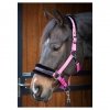  Kantar Lyrics Quotes - Harry's Horse